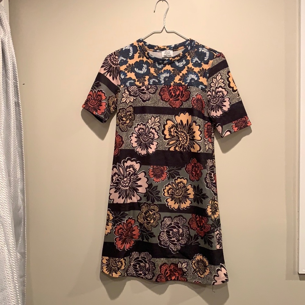 Zara Floral Print Mini Dress